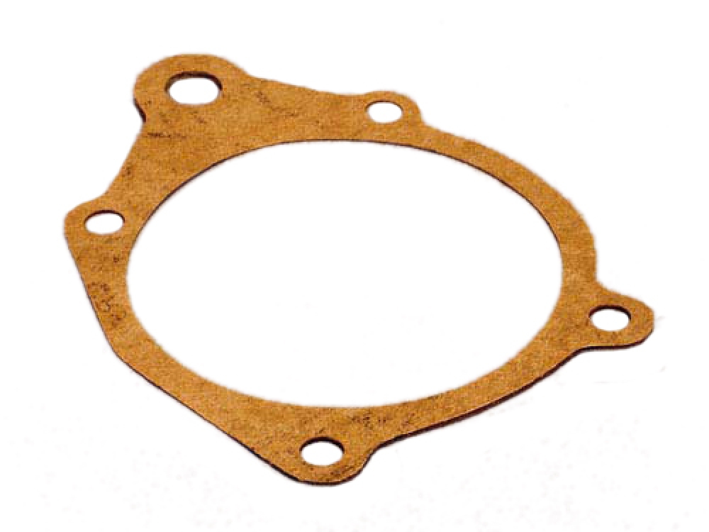 Water Pump Gasket